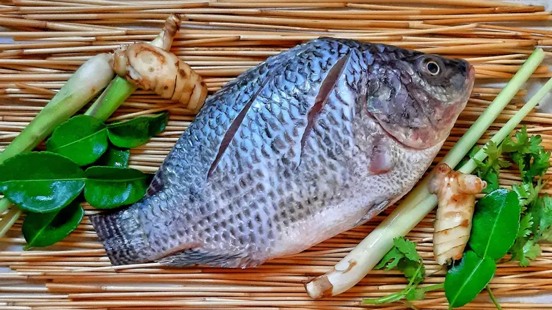 Ikan Air Tawar