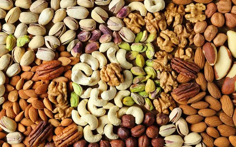 Kacang-Kacangan