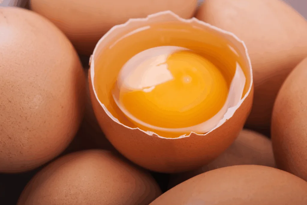 Telur