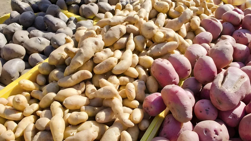 Umbi-Umbian